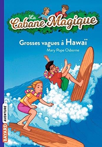 Grosses vagues a hawai  (23)
